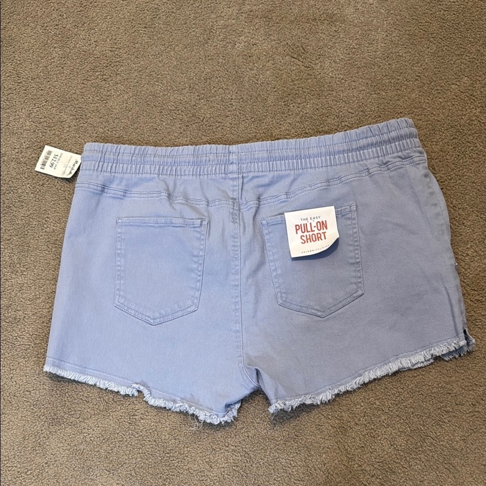 Celebrity Pink Blueish Purple Shorts Elastic Waist - Picture 3 of 6
